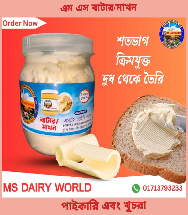 MS Dairy Premium Butter 500gm